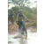 Team 58 / Raid l'Arbre Vert Cambodge - VTT