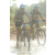 Team 54 / Raid l'Arbre Vert Cambodge - VTT