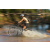 Team 37 / Raid l'Arbre Vert Cambodge - VTT