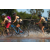 Team 10 / Raid l'Arbre Vert Cambodge - VTT