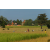 Raid l'Arbre Vert Cambodge - VTT