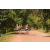 Team 23 / Raid l'Arbre Vert Cambodge - VTT