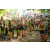 Raid l'Arbre Vert Cambodge - VTT