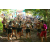 Team 23 / Raid l'Arbre Vert Cambodge - VTT
