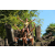 Team 53 / Raid l'Arbre Vert Cambodge - VTT