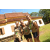 Team 80 / Raid l'Arbre Vert Cambodge - VTT
