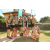 Raid l'Arbre Vert Cambodge - VTT