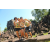 Team 09 / Raid l'Arbre Vert Cambodge - VTT