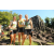 Team 50 / Raid l'Arbre Vert Cambodge - VTT
