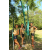 Team 80 / Raid l'Arbre Vert Cambodge - VTT