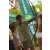 Raid l'Arbre Vert Cambodge - VTT