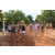 Raid l'Arbre Vert Cambodge - VTT