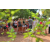 Raid l'Arbre Vert Cambodge - VTT
