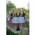 Team 30 / Raid l'Arbre Vert Cambodge - VTT