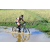 Team 28 / Raid l'Arbre Vert Cambodge - VTT
