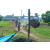 Raid l'Arbre Vert Cambodge - VTT
