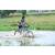 Team 45 / Raid l'Arbre Vert Cambodge - VTT