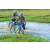 Team 03 / Raid l'Arbre Vert Cambodge - VTT