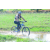 Team 56 / Raid l'Arbre Vert Cambodge - VTT