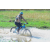 Team 56 / Raid l'Arbre Vert Cambodge - VTT