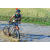 Team 11 / Raid l'Arbre Vert Cambodge - VTT
