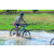 Team 31 / Raid l'Arbre Vert Cambodge - VTT