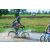 Team 20 / Raid l'Arbre Vert Cambodge - VTT