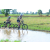 Team 61 / Raid l'Arbre Vert Cambodge - VTT
