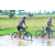 Team 81 / Raid l'Arbre Vert Cambodge - VTT