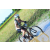 Team 50 / Raid l'Arbre Vert Cambodge - VTT