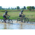 Team 06 / Raid l'Arbre Vert Cambodge - VTT