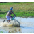 Team 48 / Raid l'Arbre Vert Cambodge - VTT