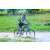 Team 44 / Raid l'Arbre Vert Cambodge - VTT