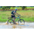 Team 49 / Raid l'Arbre Vert Cambodge - VTT