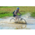 Team 43 / Raid l'Arbre Vert Cambodge - VTT