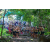 Raid l'Arbre Vert Cambodge - VTT