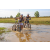 Team 65 / Raid l'Arbre Vert Cambodge - VTT