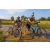 Team 15 / Raid l'Arbre Vert Cambodge - VTT