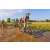 Team 77 / Raid l'Arbre Vert Cambodge - VTT
