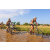 Team 77 / Raid l'Arbre Vert Cambodge - VTT