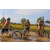 Team 62 / Raid l'Arbre Vert Cambodge - VTT