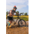 Team 11 / Raid l'Arbre Vert Cambodge - VTT
