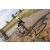 Team 31 / Raid l'Arbre Vert Cambodge - VTT