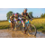 Team 67 / Raid l'Arbre Vert Cambodge - VTT