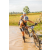 Team 37 / Raid l'Arbre Vert Cambodge - VTT