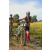 Team 47 / Raid l'Arbre Vert Cambodge - VTT
