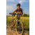 Team 47 / Raid l'Arbre Vert Cambodge - VTT