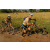 Team 12 / Raid l'Arbre Vert Cambodge - VTT