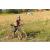 Team 38 / Raid l'Arbre Vert Cambodge - VTT