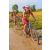 Team 79 / Raid l'Arbre Vert Cambodge - VTT